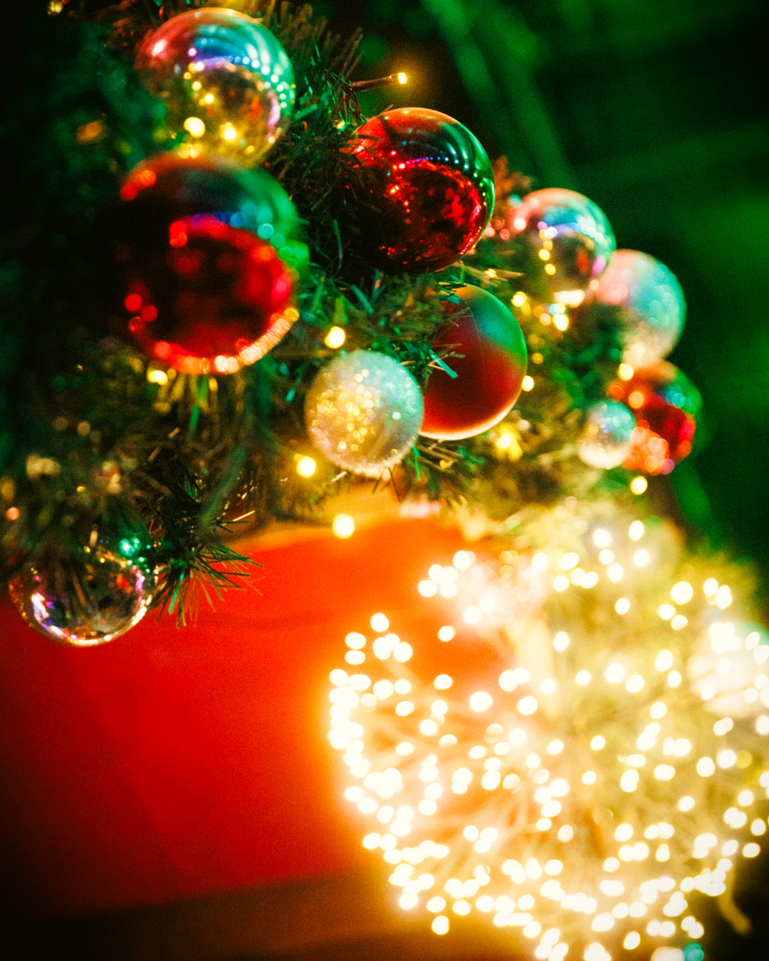 Heute ist der letzte Tag der Christmas Avenue. Ein letztes Mal öffnen wir unsere Tore – ein letztes…
